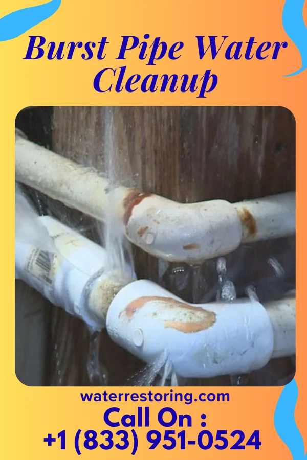 Burst Pipe Water Cleanup in Reservoir, PA