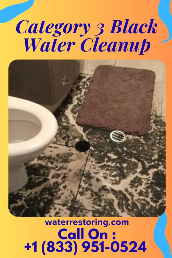 Category 3 Black Water Cleanup in Reservoir, PA