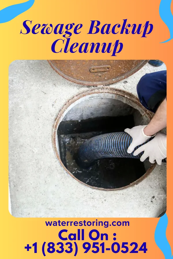 Sewage Backup Cleanup in Reservoir, PA